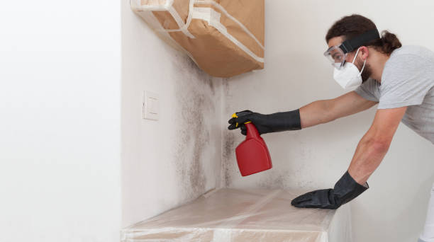 Professional Bathroom Mold Removal technician working in Cheyney, PA